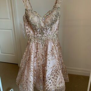 Rose gold mini dress. Size small. New with tags.